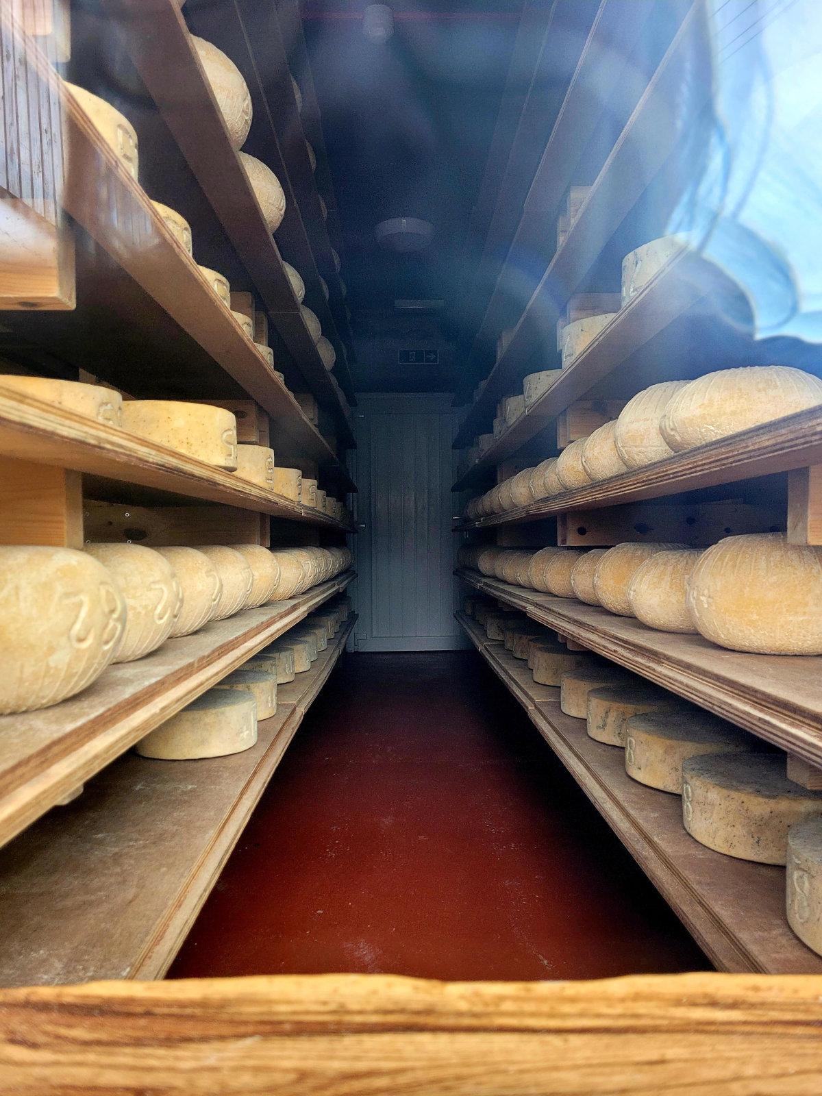 the ethical dairy cheese storage