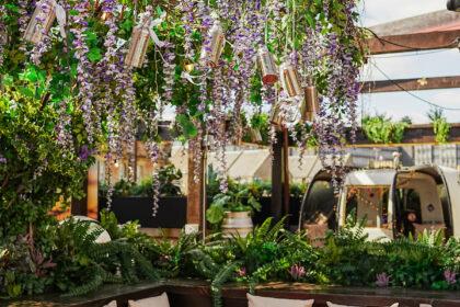 magnum scotch whisky liqueur cocktail