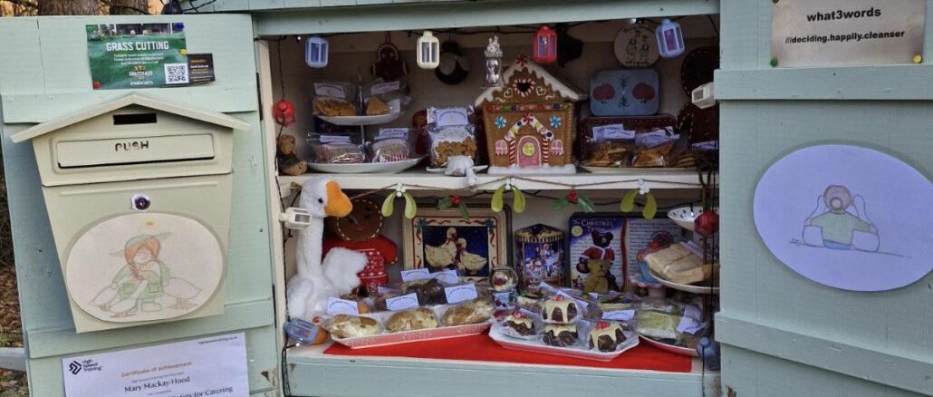 crazy goose lady honesty box view