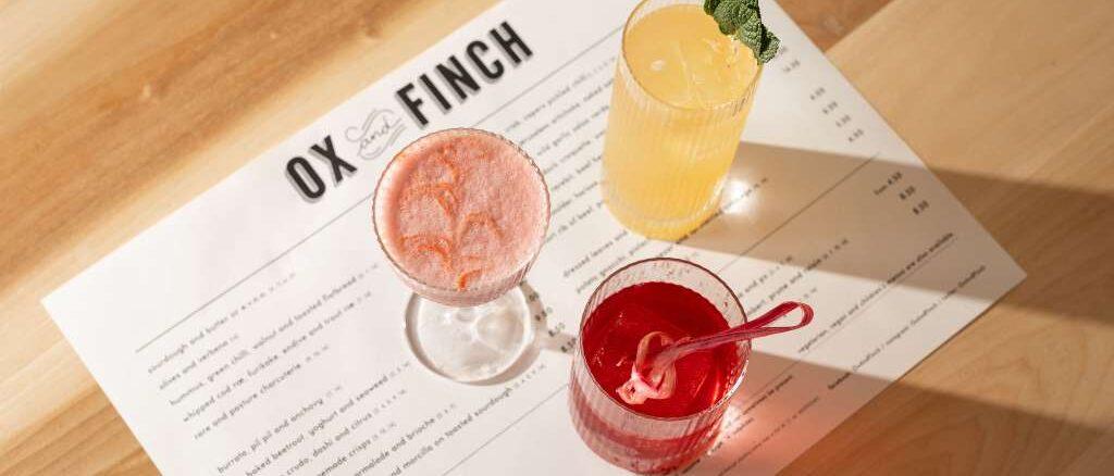 Ox and Finch
