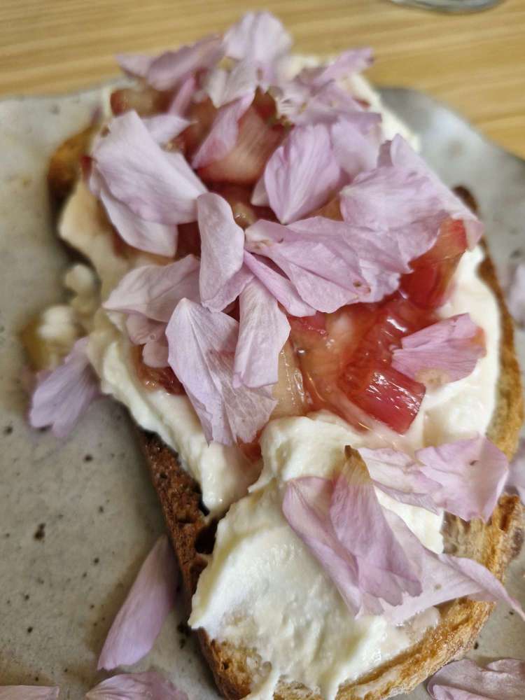 Journey worthy food at Eastfield Dundee