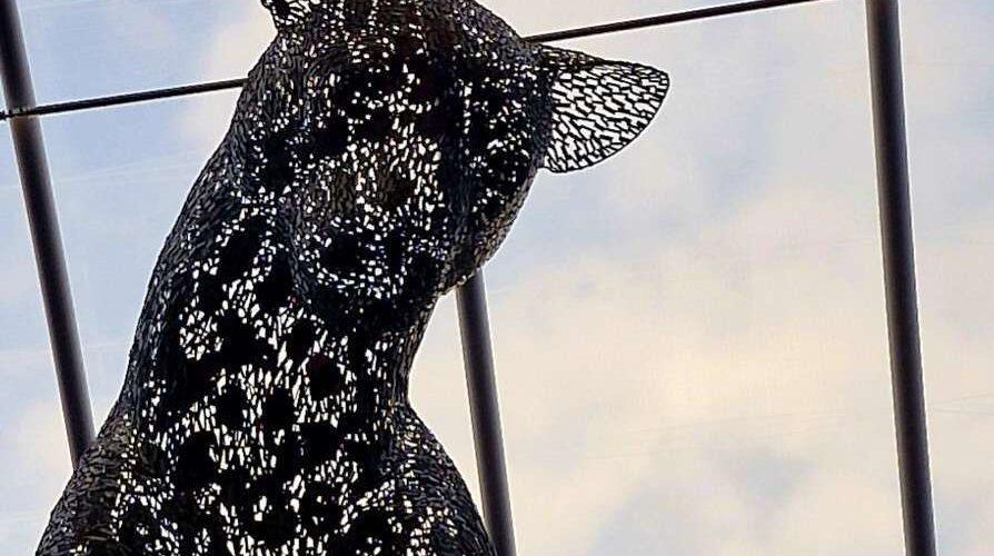 Andy Scott Leopard sculpture Aberdeen