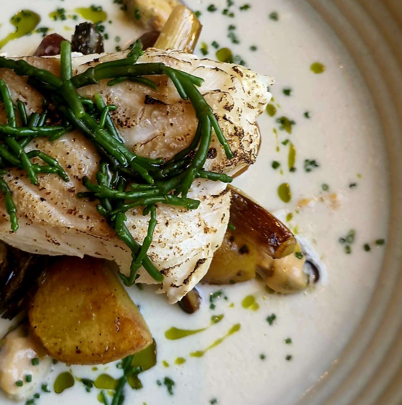 Badger & Co, Edinburgh - Review