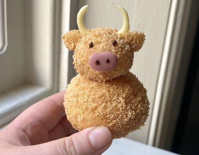 lannan bakery pop up