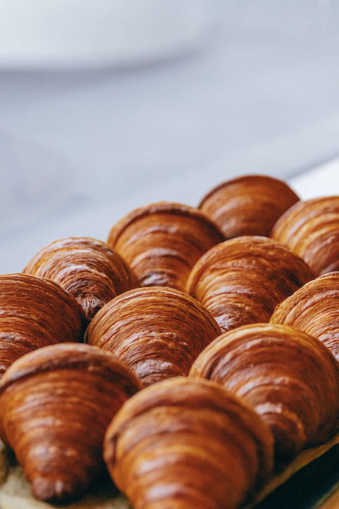 Scotland's best croissant