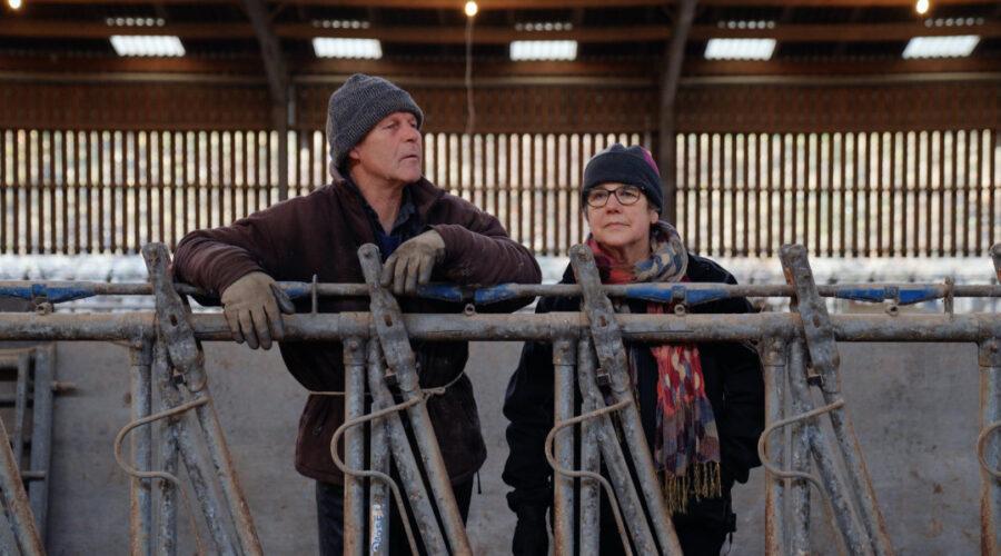 dairy story ethical dairy