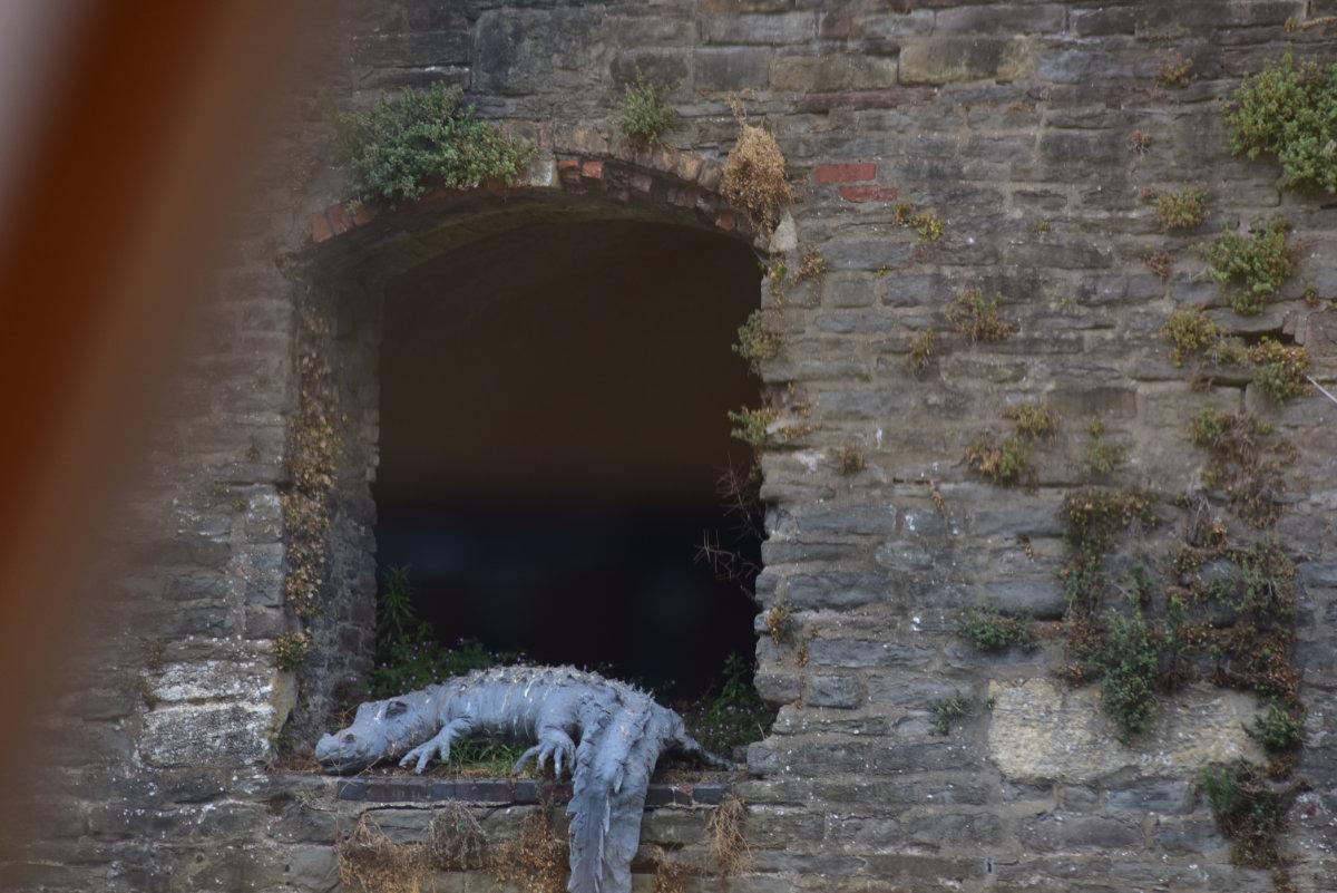 Brunel’s Bristol Packet Boat Tour Review crocodile