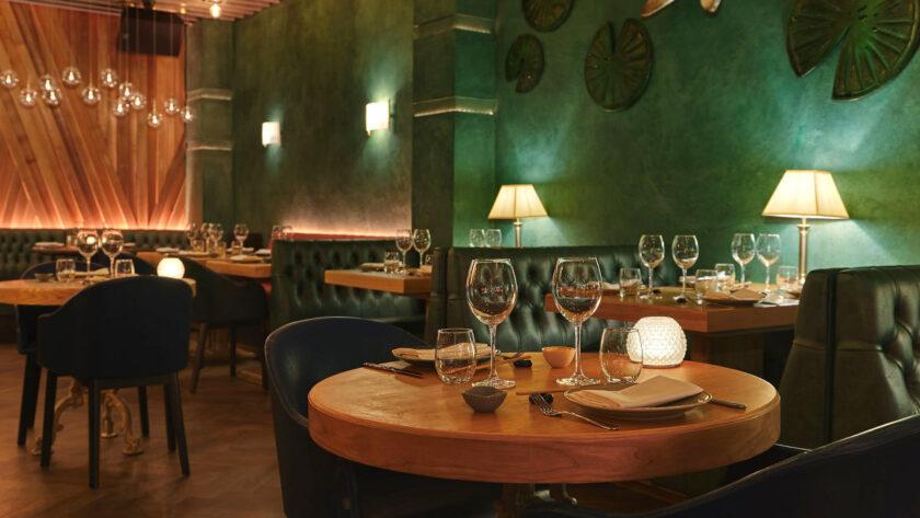 Review of Ayllu, Affordable fine dining in London