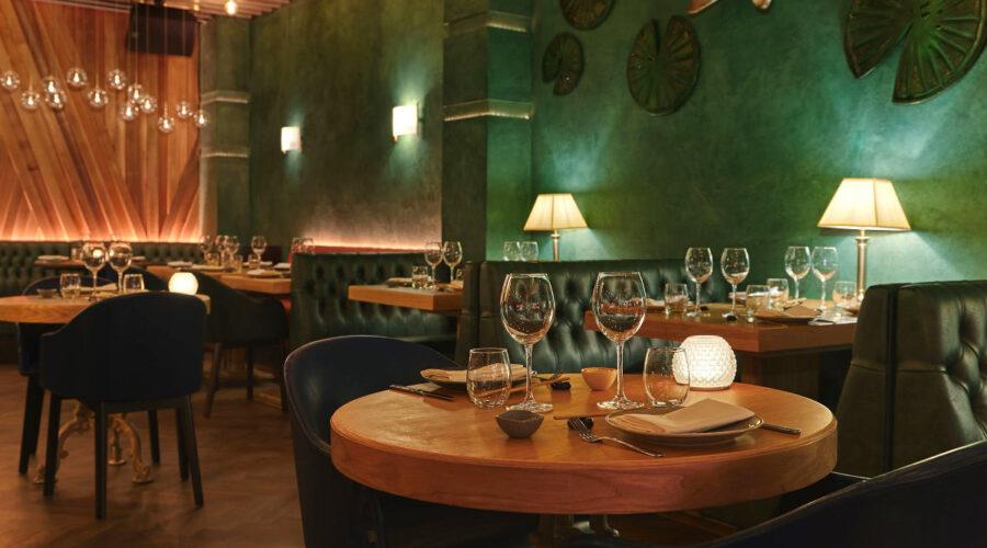 Review of Ayllu, Affordable fine dining in London