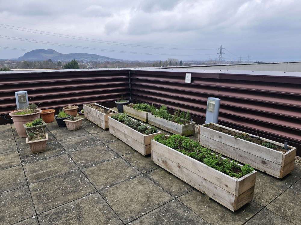 Lunch at EH15 Restaurant & Bar, Edinburgh