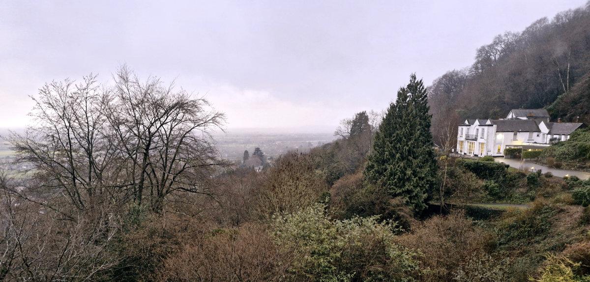 thecottageinthewood window view
