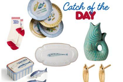 Catch of the day collage
