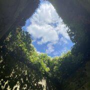 St Dunstan in the East London: A Hidden Garden Among the Ruins