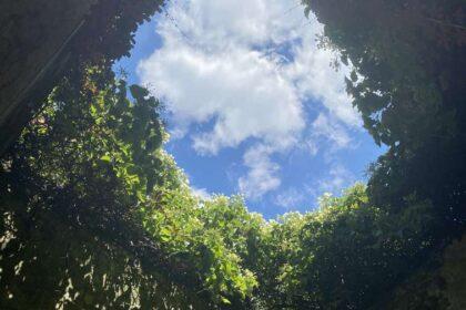 St Dunstan in the East London: A Hidden Garden Among the Ruins