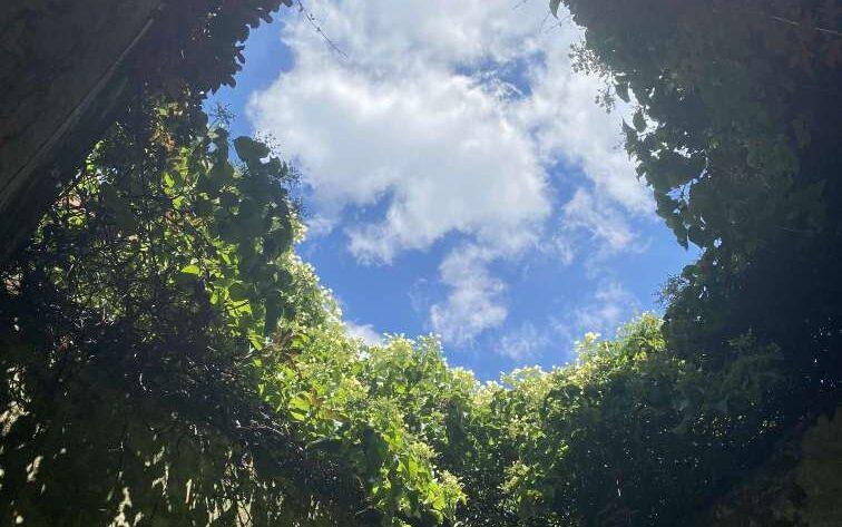 St Dunstan in the East London: A Hidden Garden Among the Ruins