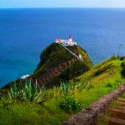 TAP Air Portugal start new route