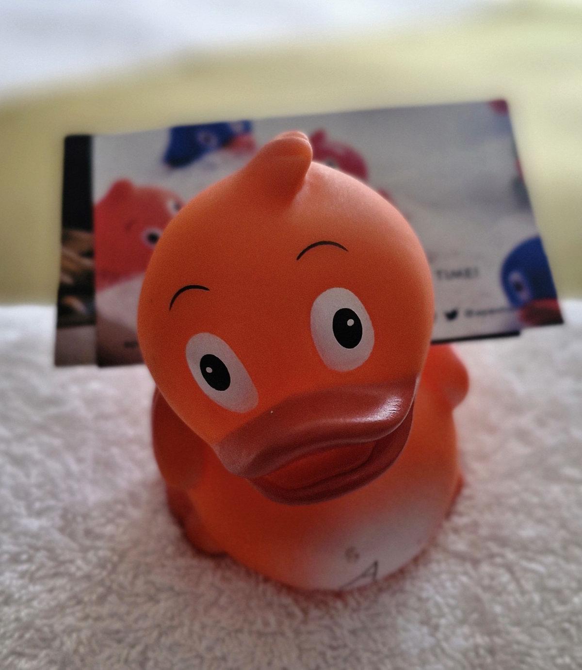 apex hotel dundee duck