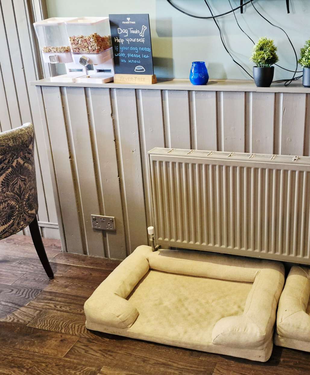 dog friendly Riva Boutique Hotel Helensburgh Review – Stylish Seafront Stay Near Loch Lomond
