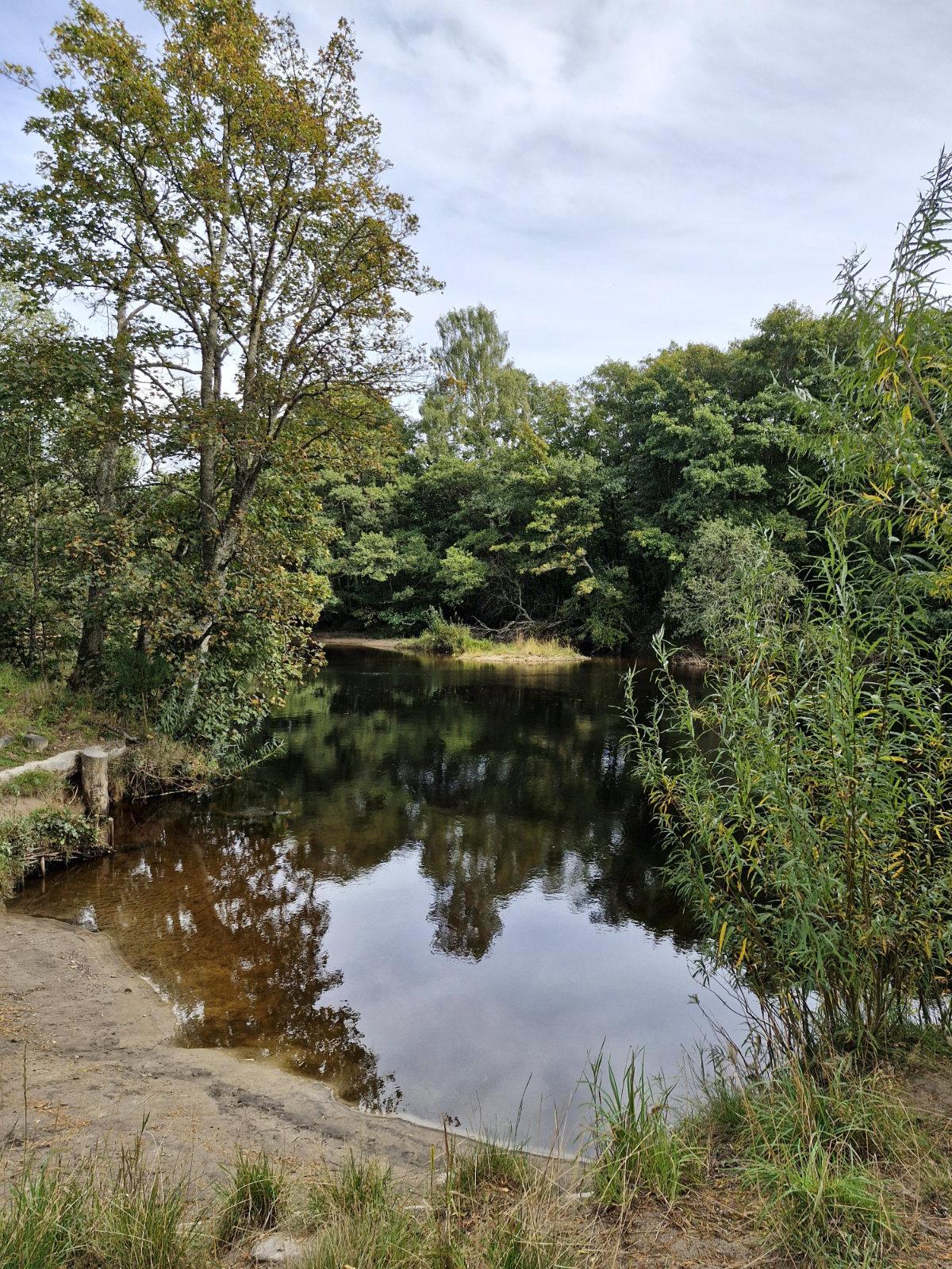 the old bridge inn riverside