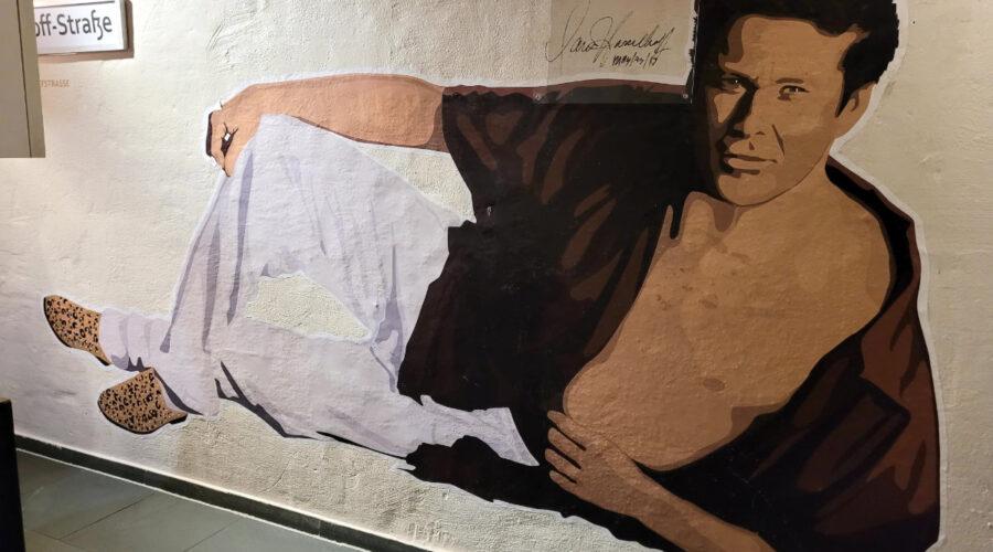 David Hasselhoff Museum
