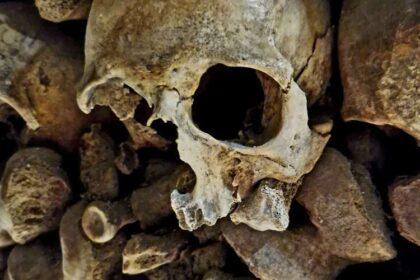 Human skulls and bones inside the Paris Catacombs