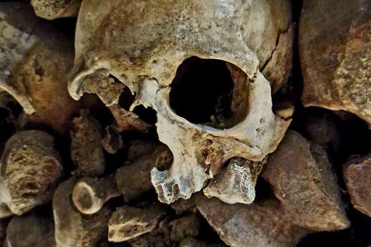 Human skulls and bones inside the Paris Catacombs