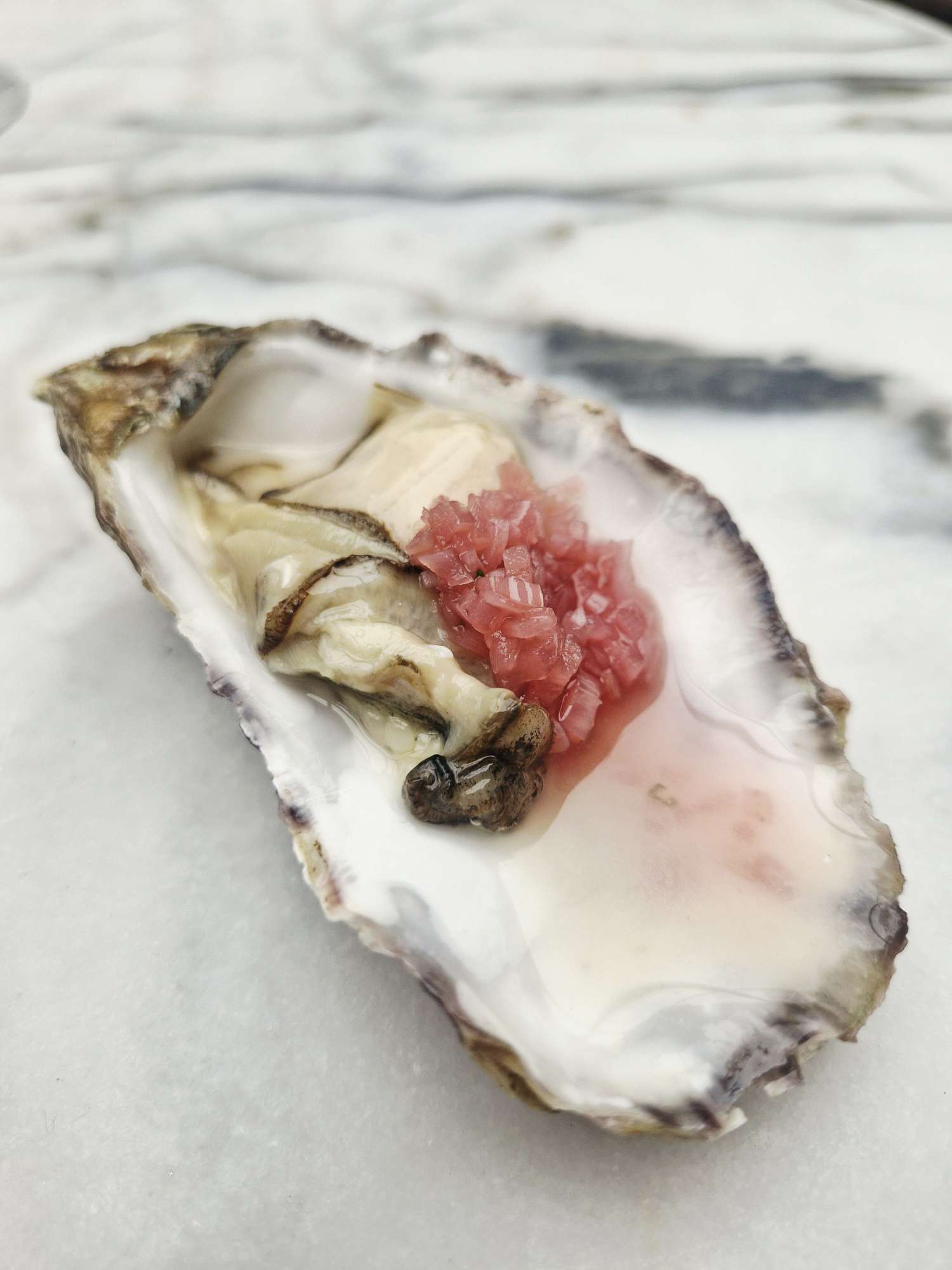 oyster the finnieston