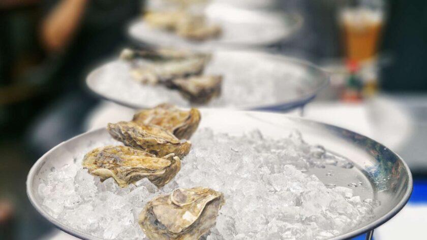 oysters at the finnieston