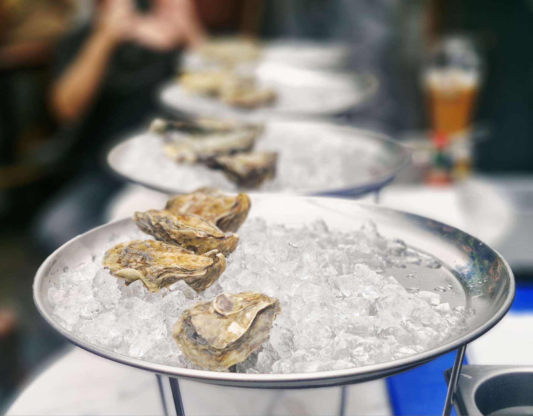 oysters at the finnieston