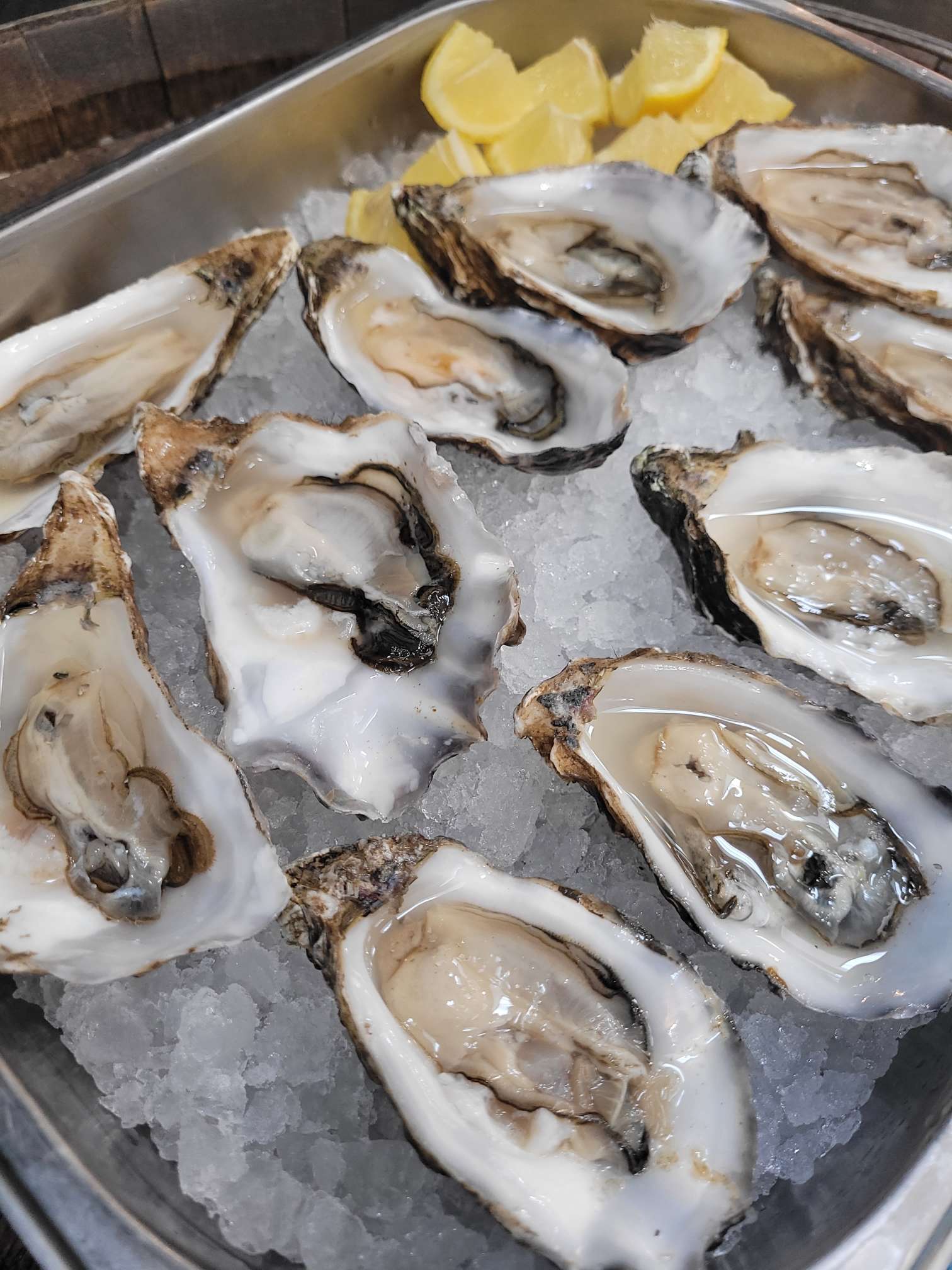 fresh oysters on ice