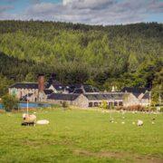 Royal Lochnagar launches rare 26-year-old whisky limited to 840 bottles