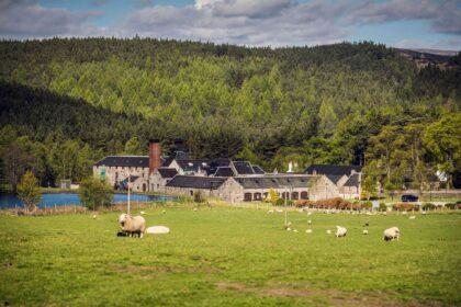 Royal Lochnagar launches rare 26-year-old whisky limited to 840 bottles