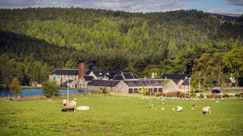 Royal Lochnagar launches rare 26-year-old whisky limited to 840 bottles