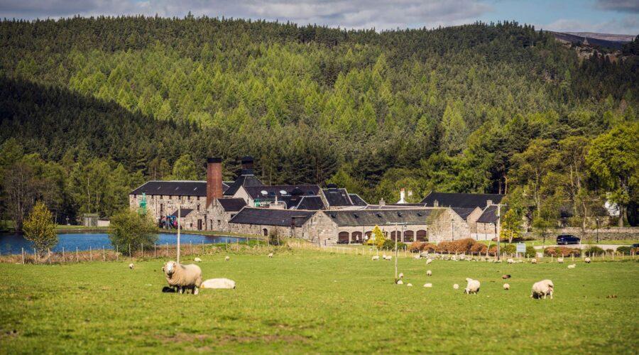 Royal Lochnagar launches rare 26-year-old whisky limited to 840 bottles