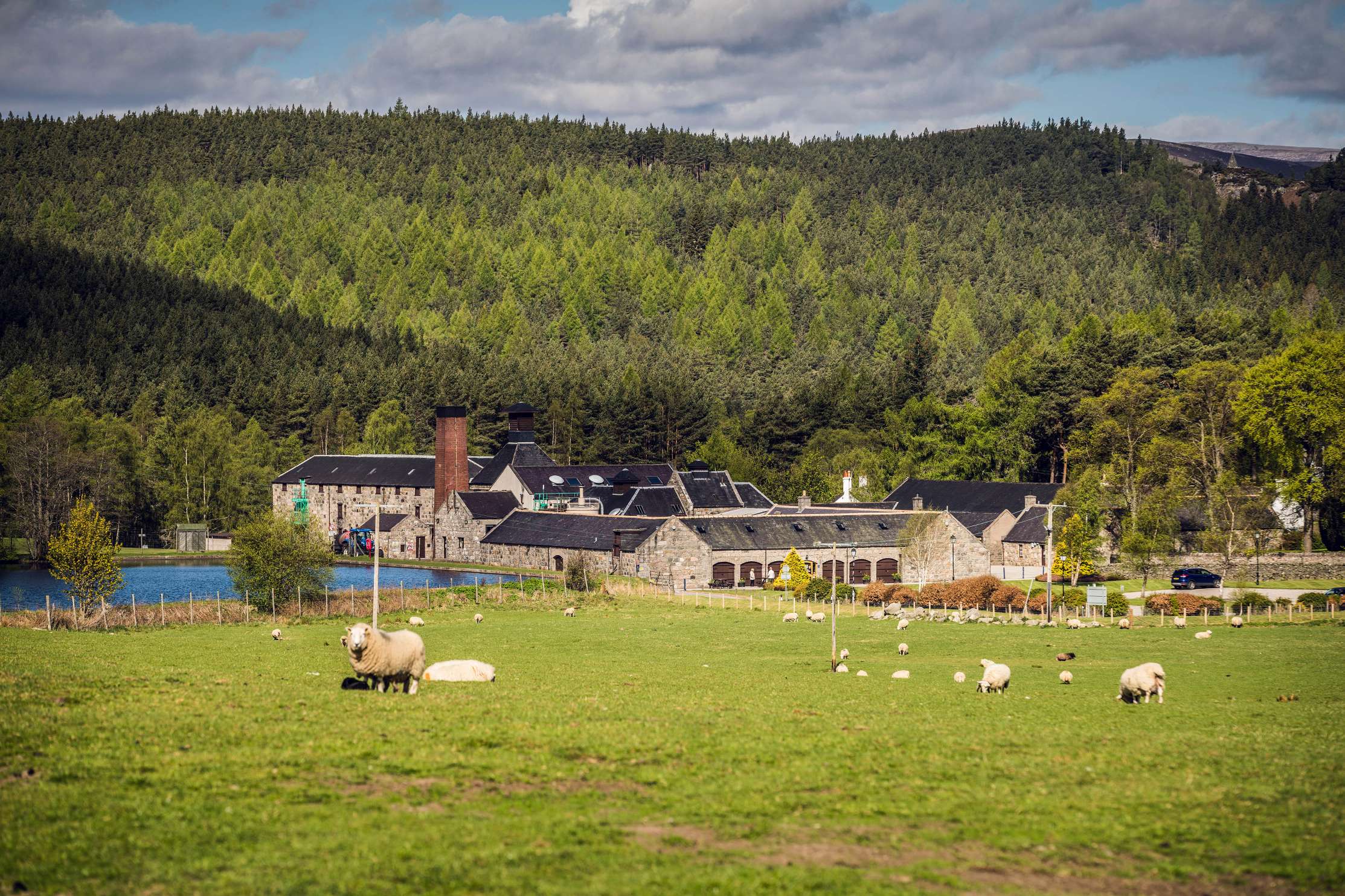 Royal Lochnagar launches rare 26-year-old whisky limited to 840 bottles